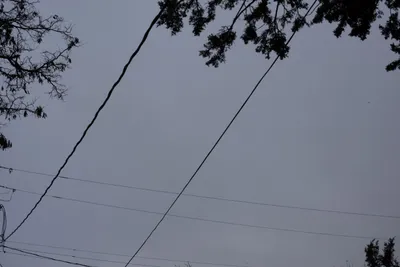 DSC_3137 (Large).JPG